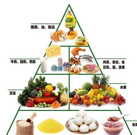 食物金|营养金字塔